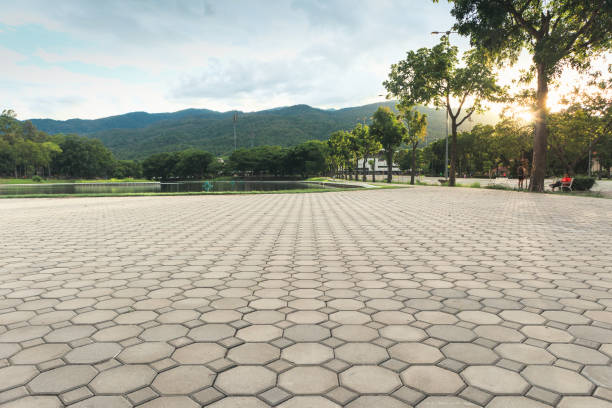 Best Driveway Pavers Near Me  in Desoto, TX