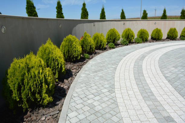 Best Decorative Driveway Pavers  in Desoto, TX